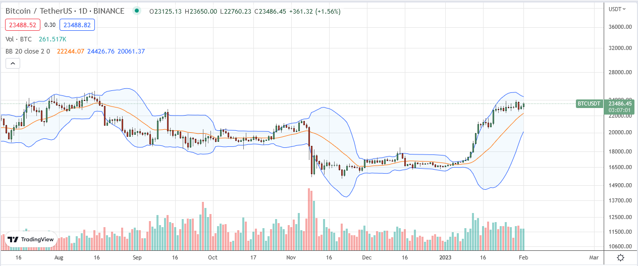 Bitcoin Price on February 1-