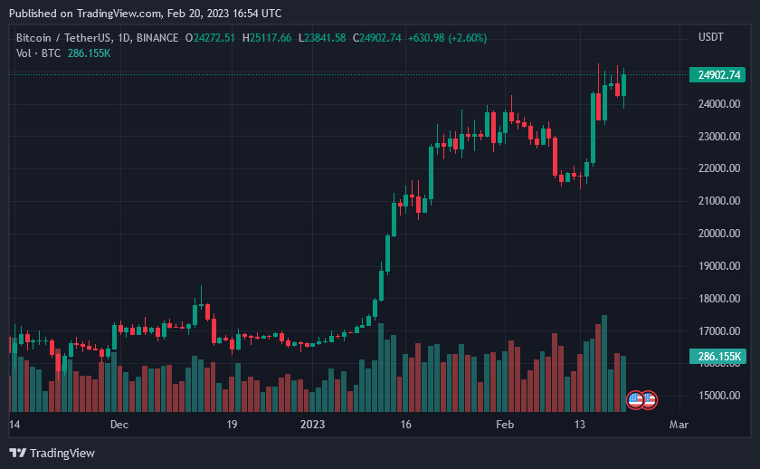 Bitcoin Price February 20