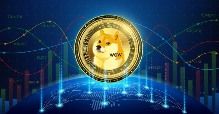 Dogecoin holders