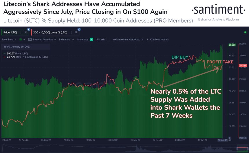 Data Reveals Reasons Behind Litecoin's 80% Rally