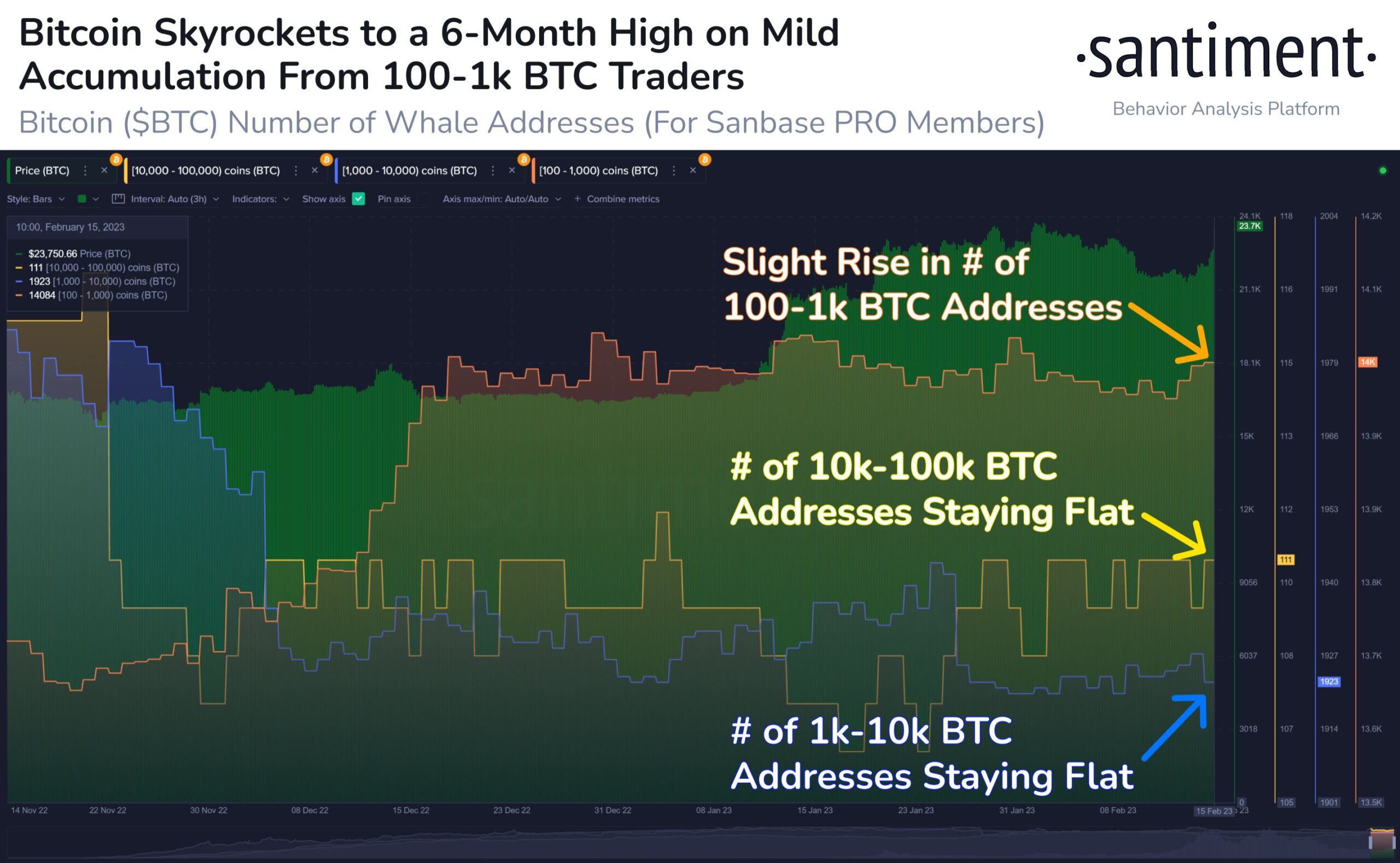 Bitcoin BTC holder behaviour