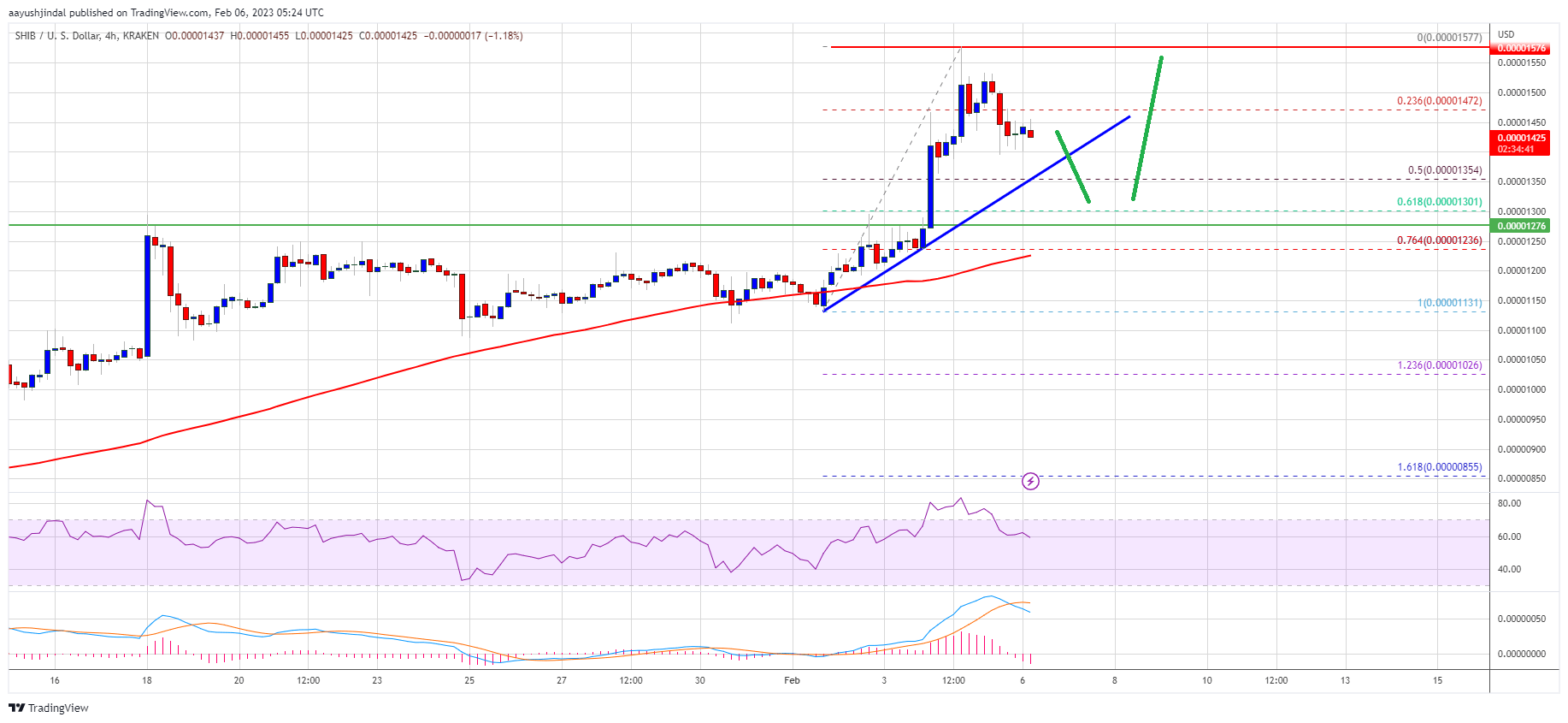 SHIB Price Rallies Over 20%