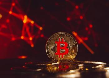 bitcoin price bear
