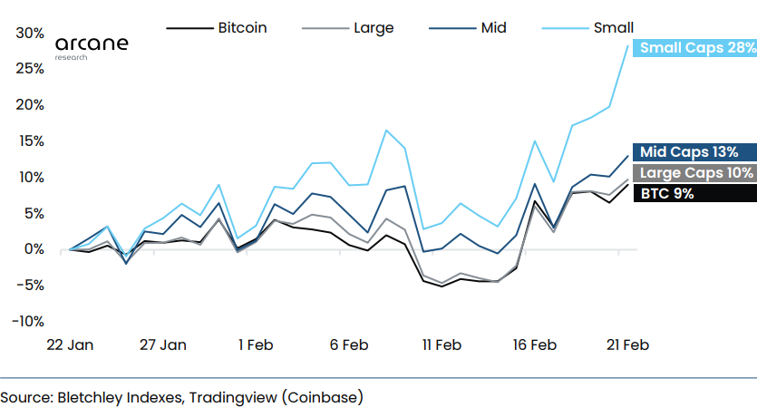 Small Cap Altcoins Nonetheless Crypto Market Kings, Massively Outperform Bitcoin