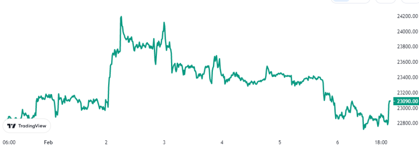 Bitcoin Price Chart