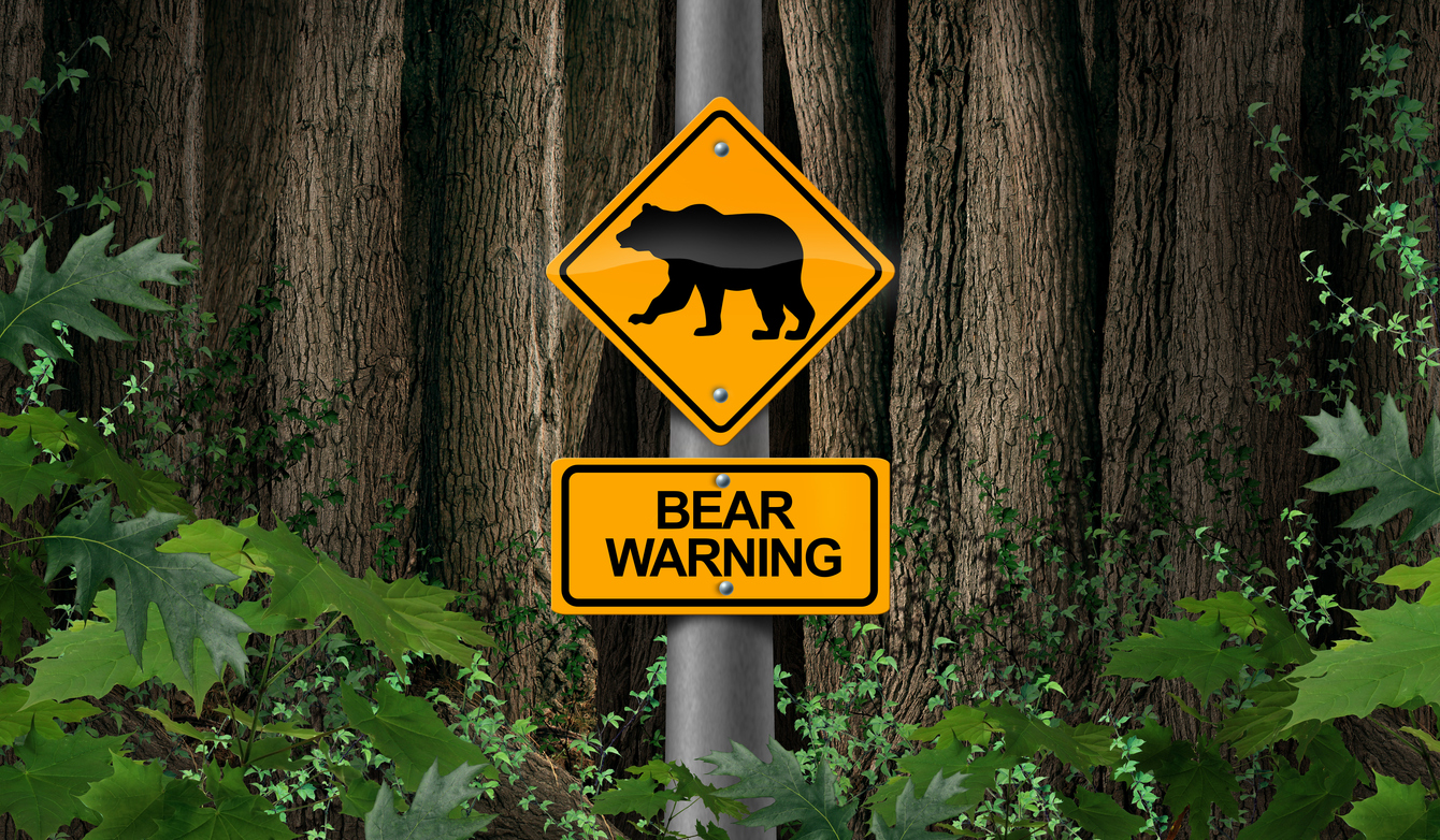 bitcoin bear beware