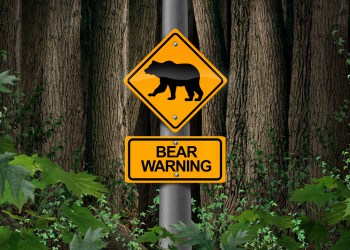 bitcoin bear beware