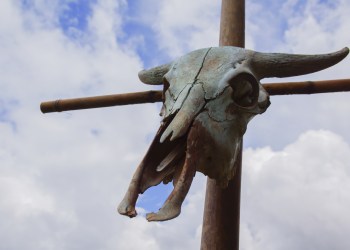 bitcoin bulls death cross