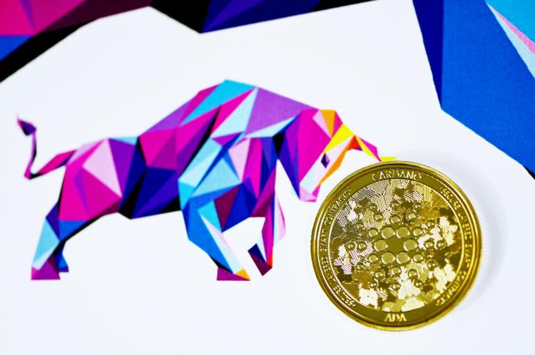 Cardano