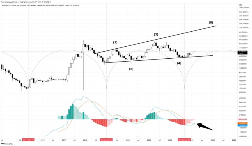 litecoin mad momentum change