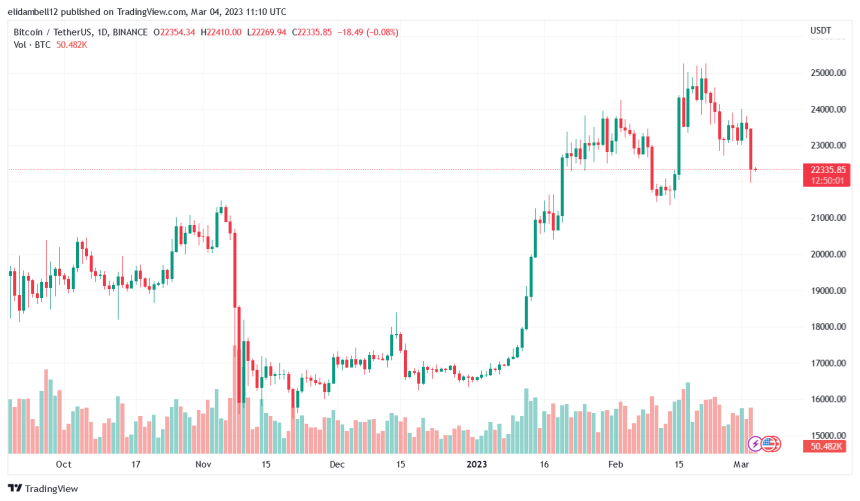 This Report Claims Bitcoin NFT Market Will Significantly Grow By 2025, But How?