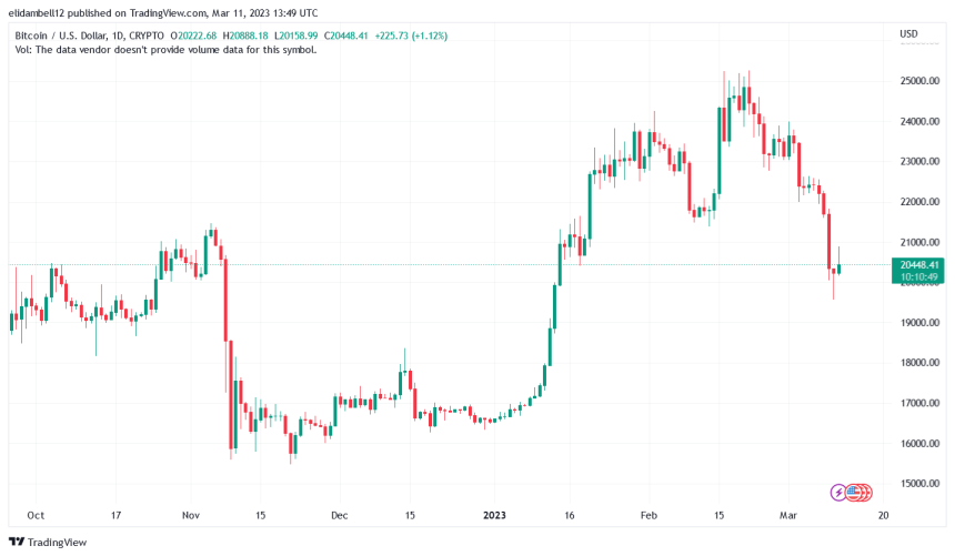 Coinbase Stands Firm: Staking Services Will Continue Despite SEC Scrutiny