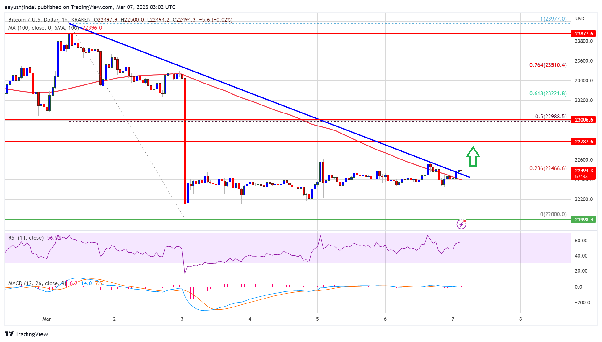 Bitcoin Price