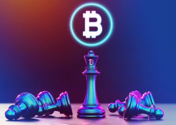 Bitcoin US Government