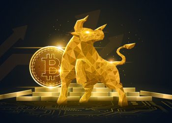 Bitcoin bulls