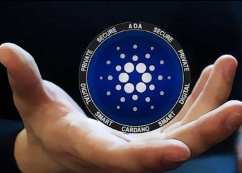 Cardano (ADA) holders