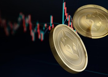 Can Meme-Coins be More than Hype and Speculation?