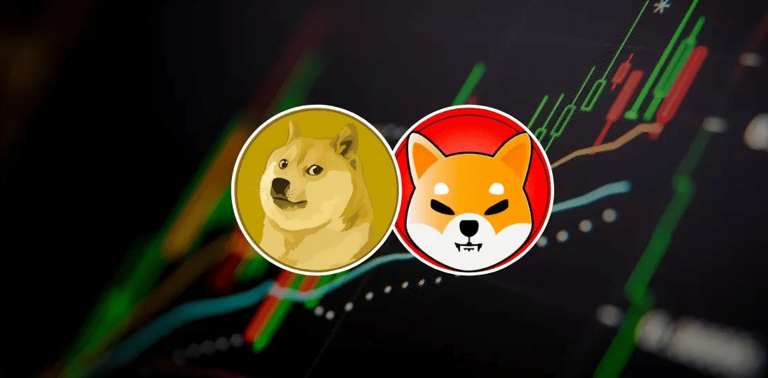 Shiba Inu Outpaces Dogecoin With 23% Price Increase in 2023