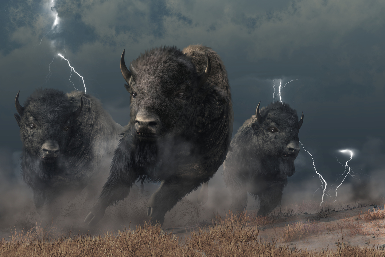 Bitcoin Trend Strength Exhibits Striking Similarities With Last Bull Run