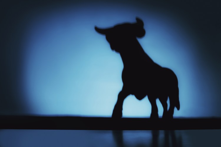 XRP Peter Brandt