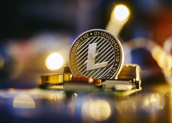 Litecoin Surges 13% In Last 24 Hours, Flips Shiba Inu In Market Cap
