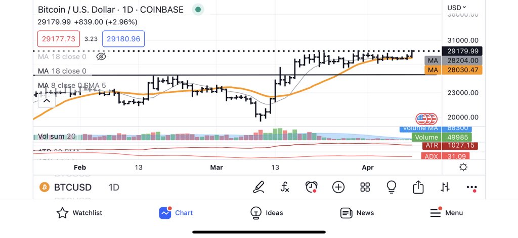 Precio de BitcoinPeter Brandt