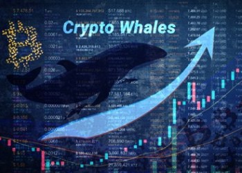 XRP and Dogecoin holders flock to Avorak AI after $1 launch price announcement