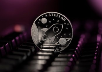 DigiToads Price Prediction: Will it become more valuable than Stellar and Dogecoin