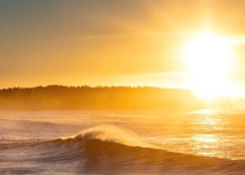 Solana Rides The Crypto Market Rally, Soars 10% In Value