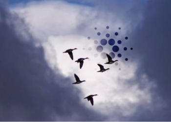 ADA 10% Rally Coincides With Cardano Foundation’s Annual Report