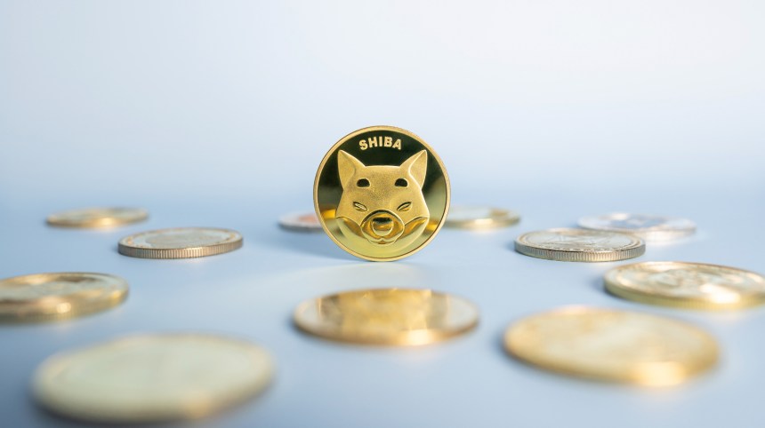 Shiba Inu SHIB coin