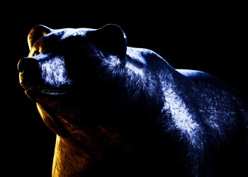 Dogecoin WIF DogWifHat