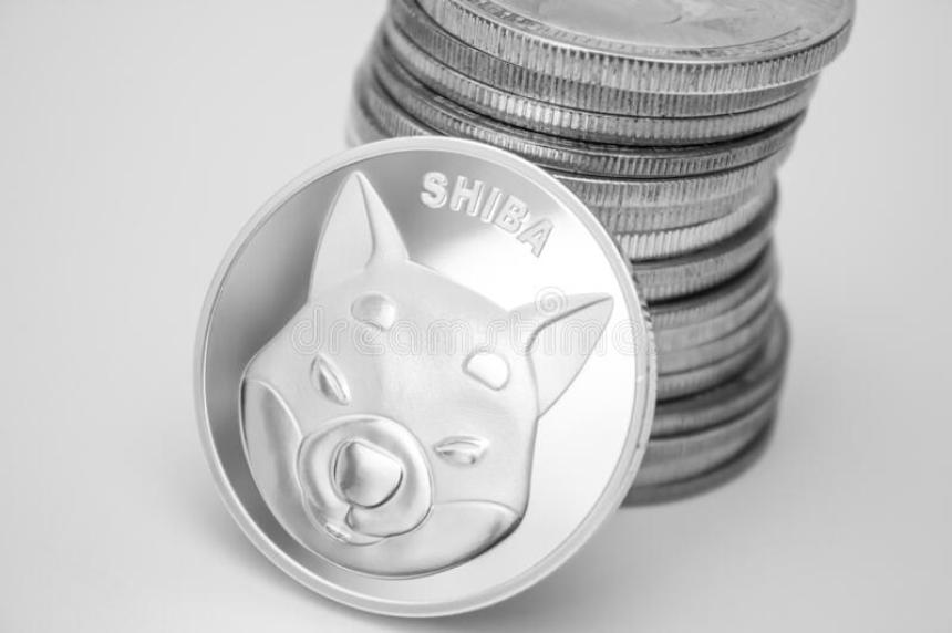 Shiba Inu