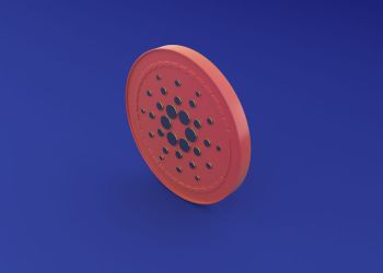 Cardano ADA Whales Accumulating