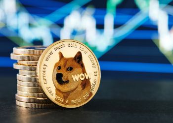 Elon Musk Dogecoin