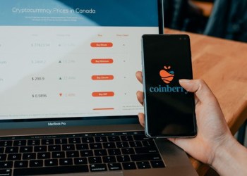 Hedera, VeChain and ApeCoin among the most lucrative altcoins, Avorak AI Algo indicates