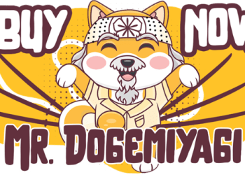 Deep Vision: DogeMiyagi, Avalanche and Solana Plan Ahead for Success
