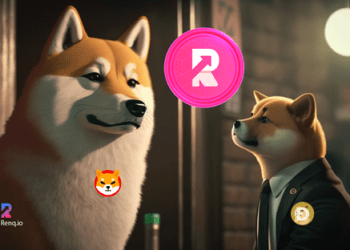 Memecoin Fight: Dogecoin vs Shiba Inu (SHIB) (SHIB), Why do experts advise to turn to utility of RenQ Finance?