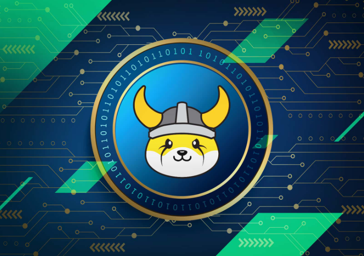 Floki Inu