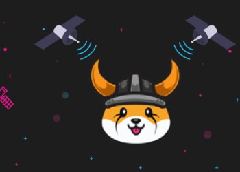 Floki Inu Rallies 40% In 24 Hours: Here's Why