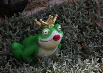 Meme coin, PEPE, WOJAK, TURBO, DOGEOIN, SHIBA INU