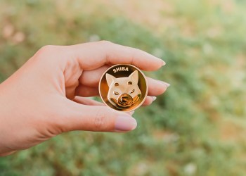 Shiba Inu