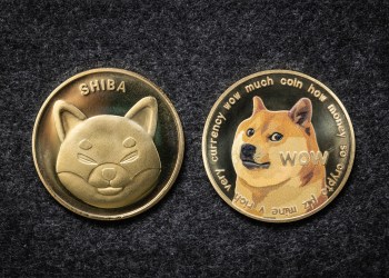 Shiba Inu & Dogecoin Price Chart
