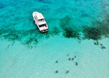 memecoin doge shib pepe bonk