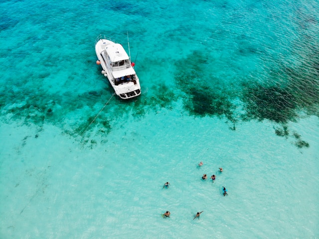 memecoin doge shib pepe bonk