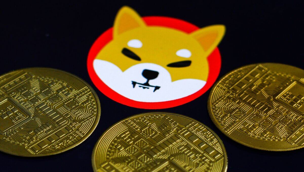 WARNING ALERT: Bitcoin (BTC) Loses Ground Despite CPI Data Bump, Whilst HedgeUp (HDUP) and Shiba Inu (SHIB) Become Market Favourites - Vimarsana News