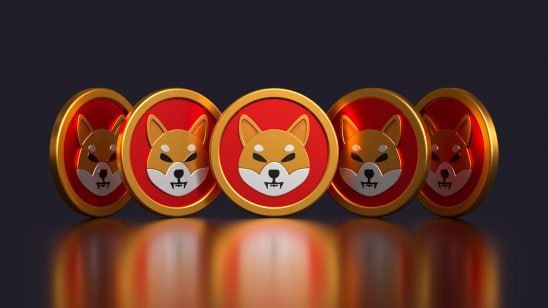 HedgeUp (HDUP) Could outrank Shiba Inu (SHIB) and Polygon (MATIC) in Market Cap by 2023 - Vimarsana News