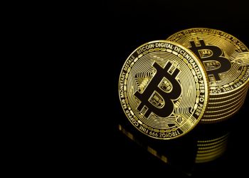 Bitcoin Holders Making Money