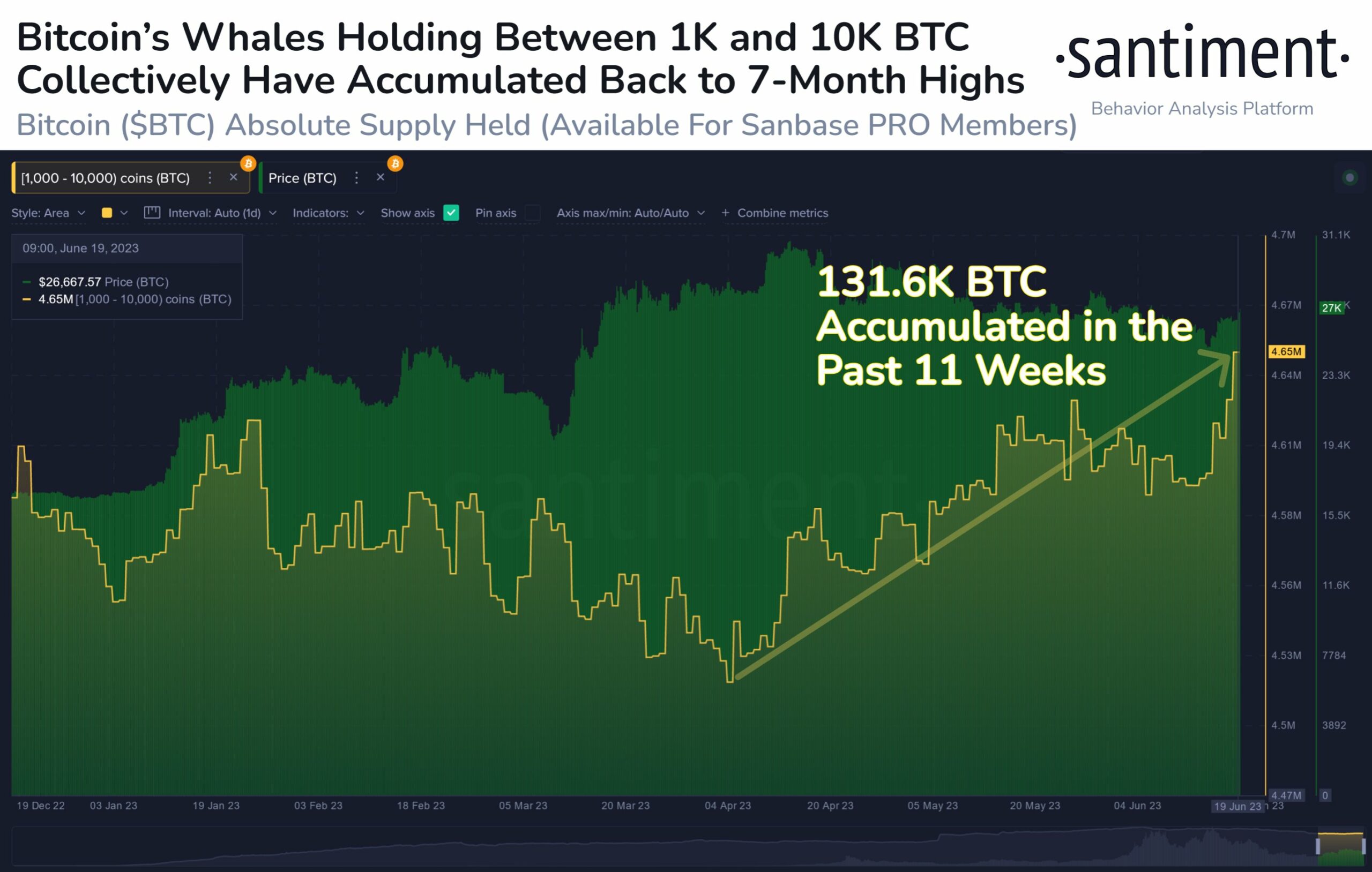 ballenas bitcoin