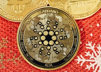 Hedge Funds Investing Into These 3 Cryptos: Bitcoin, Cardano and Avorak